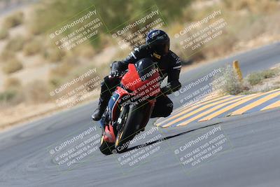 media/May-14-2023-SoCal Trackdays (Sun) [[024eb53b40]]/Turn 5 Tree of Life (1125am)/